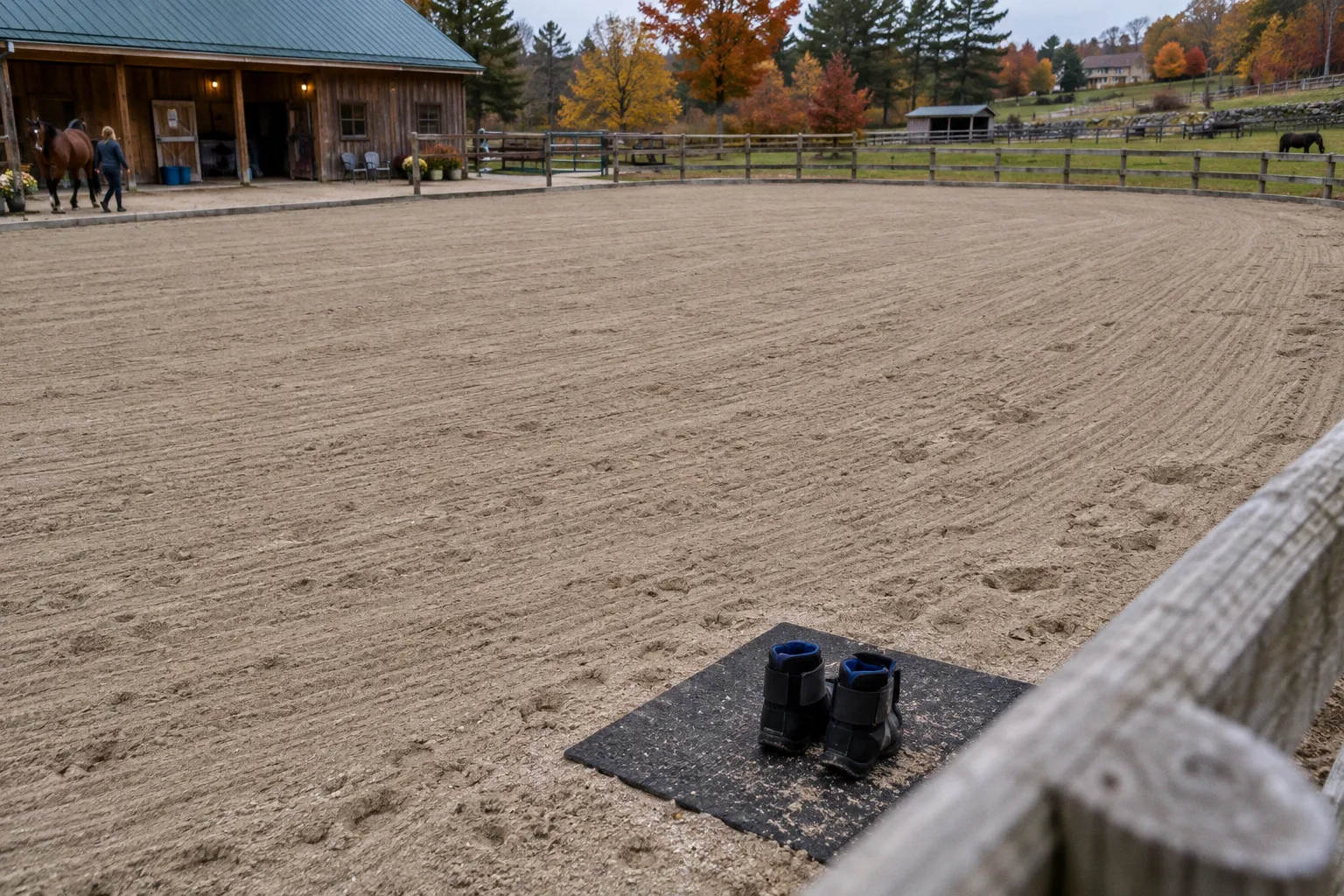 Equine craniosacral therapy versus massage for muscle tension