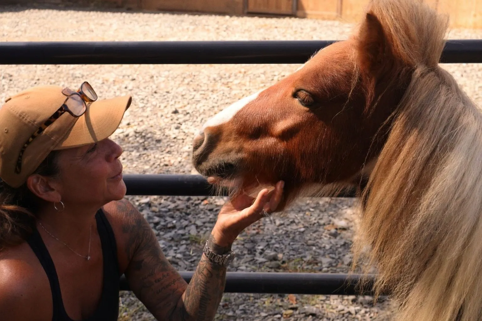 How Three Minutes of Equine Interaction Can Significantly Lower Teen Anxiety