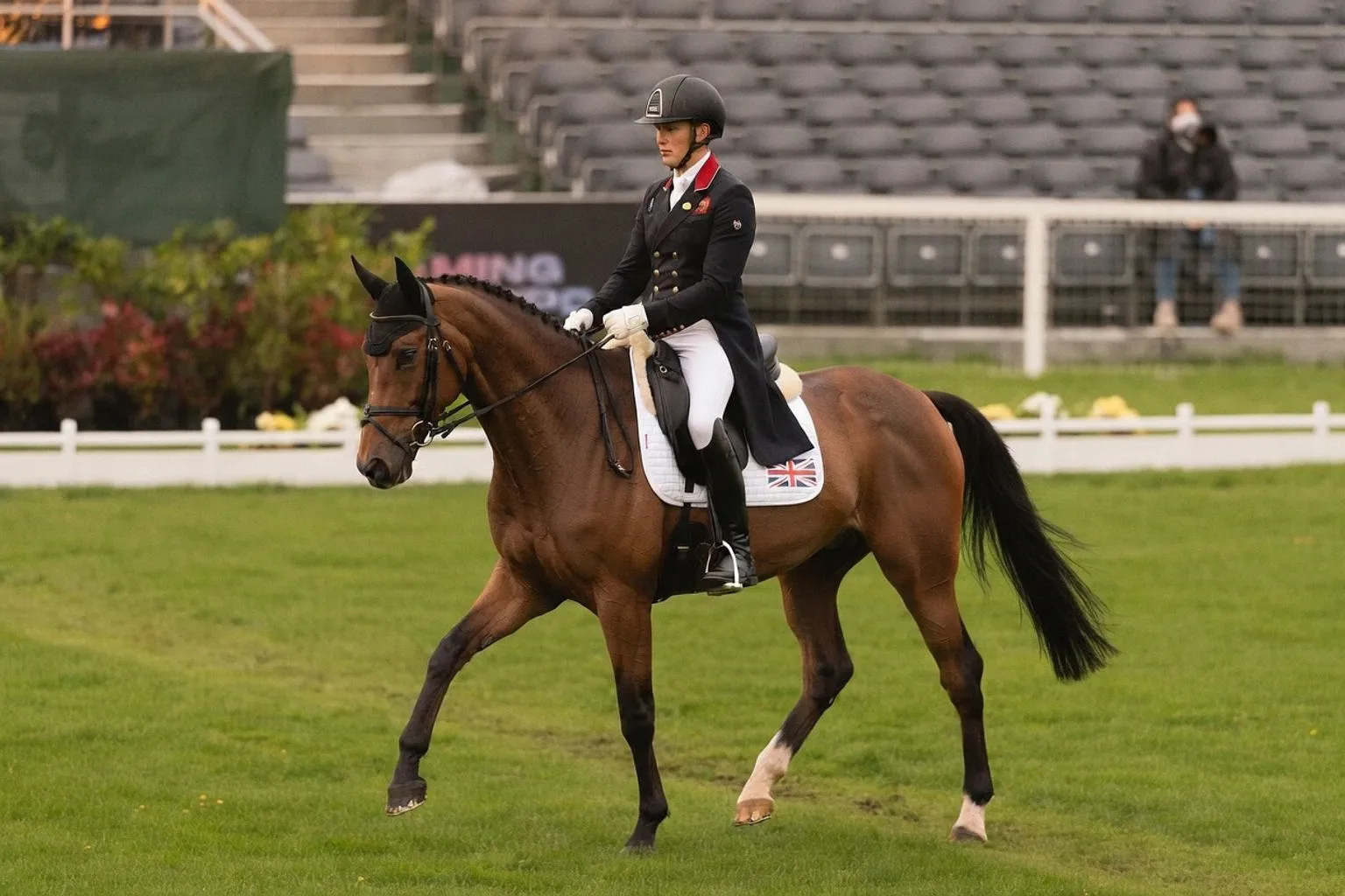 Mastering Equine Posture: Biomechanics and Exercises for Better Movement